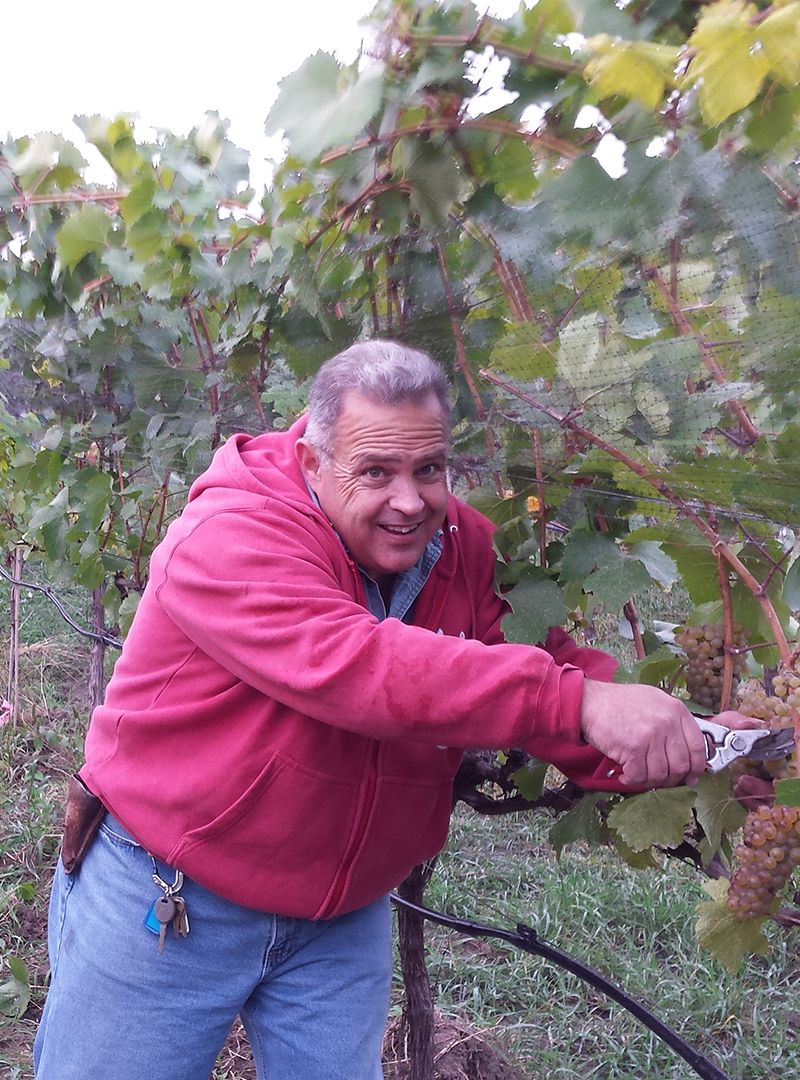 | Kelowna Wine, Boat & Canyon Tours | Cheers! Okanagan
