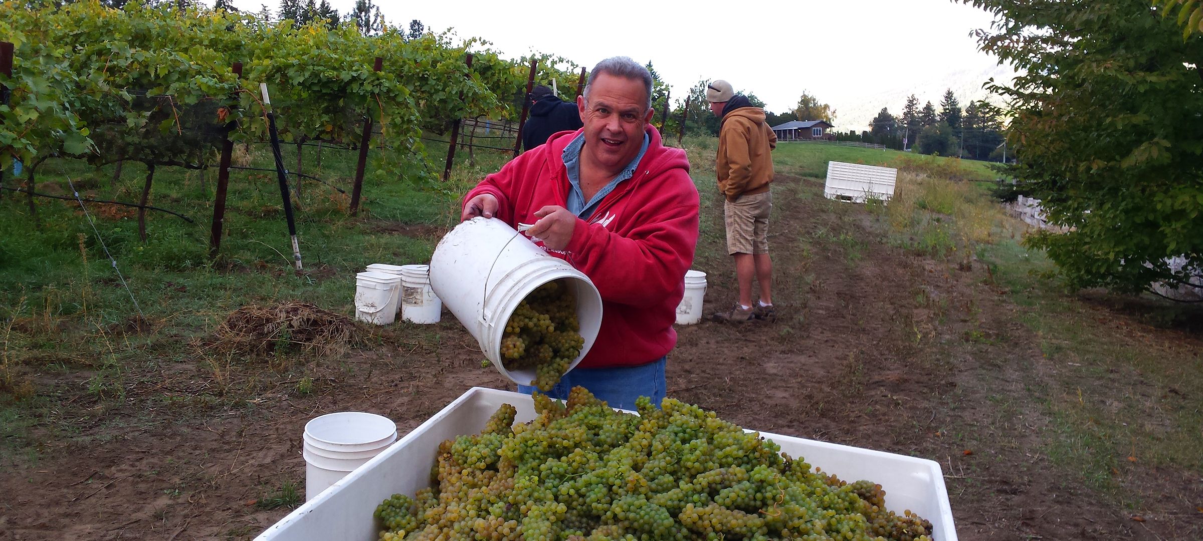| Kelowna Wine, Boat & Canyon Tours | Cheers! Okanagan