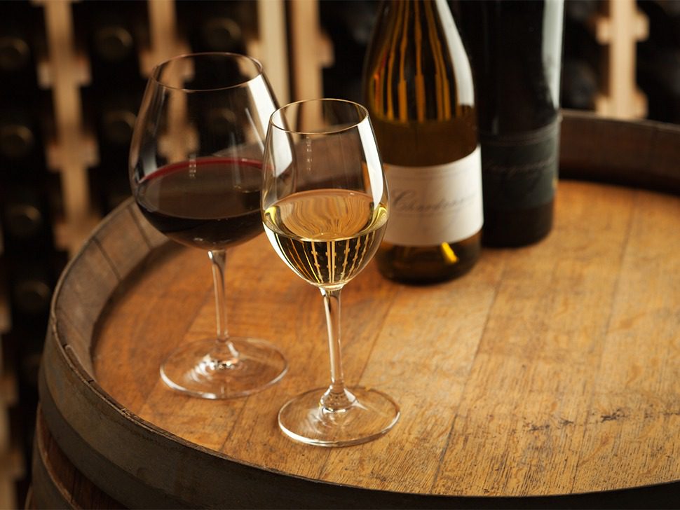| Kelowna Wine, Boat & Canyon Tours | Cheers! Okanagan